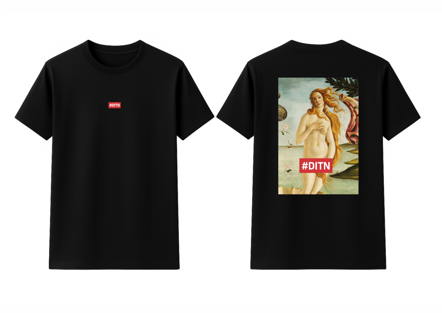 #DITN Leonardo Da Vinci’s “Birth of Venus” 300gsm Oversized T-shirt